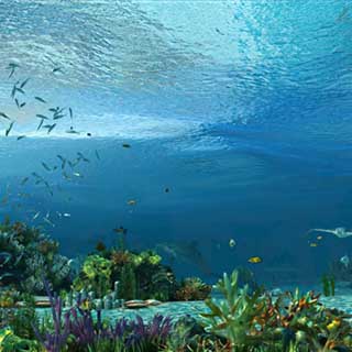 海底世界鱼植物珊瑚c4d模型下载